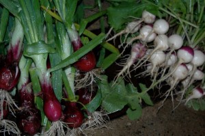 Apple Street produce