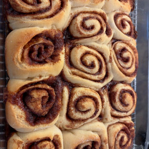 tray of cinnamon rolls