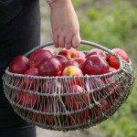 Sweetening Applesauce