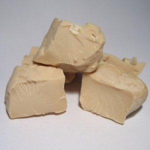 Yeast 101 Think Tasty