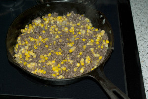 Things You Can Do Starting with Ground Beef