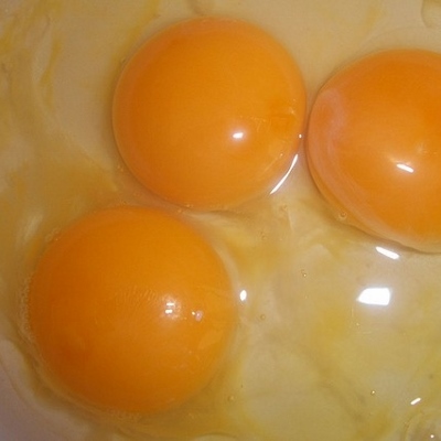 egg yolks (400x400)