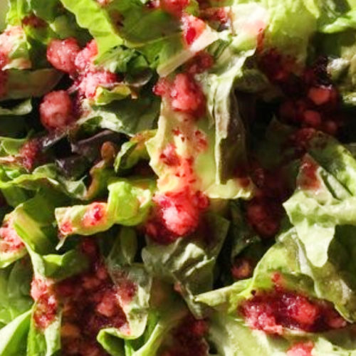 cranberry vinaigrette